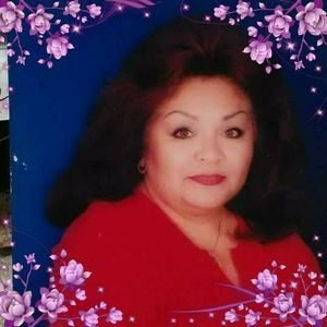 Meet your Posher, Dolores